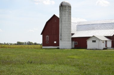 Kırmızı ahırda: kırsal michigan