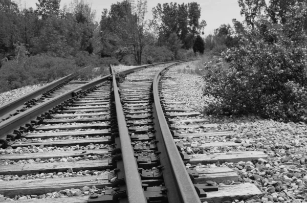 在农村的密歇根州荒野的铁路轨道 — 图库照片