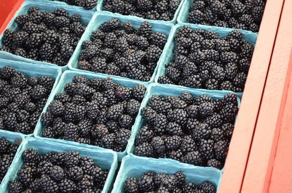 Moras orgánicas frescas — Foto de Stock