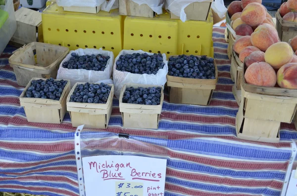 Čerstvé borůvky michigan — Stock fotografie