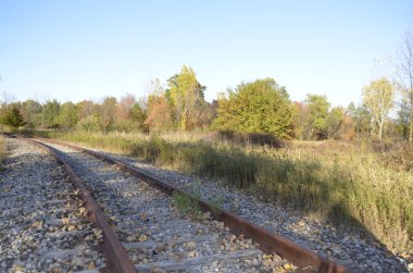rostig och övergivna järnvägsspåren i michigan vildmarken
