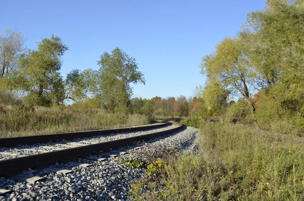 Rusty and abandoned railroad tracks in the Michigan wilderness — Stock Photo, Image