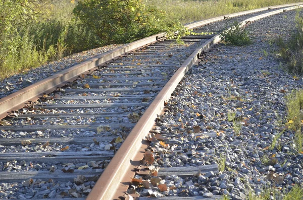 Rostige und verlassene Eisenbahngleise in der Wildnis Michigans — Stockfoto