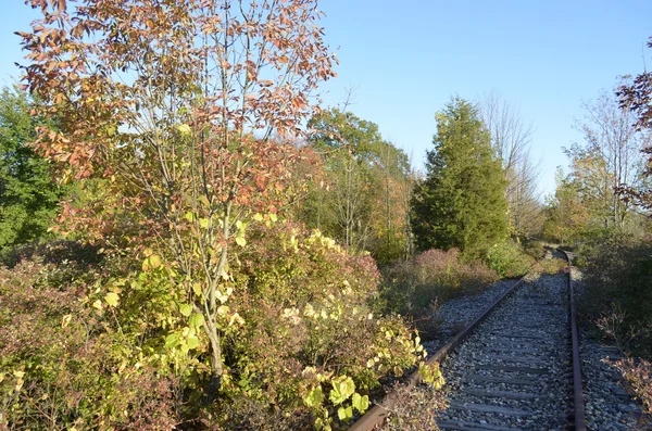 Verlaten railroad tracks — Stockfoto