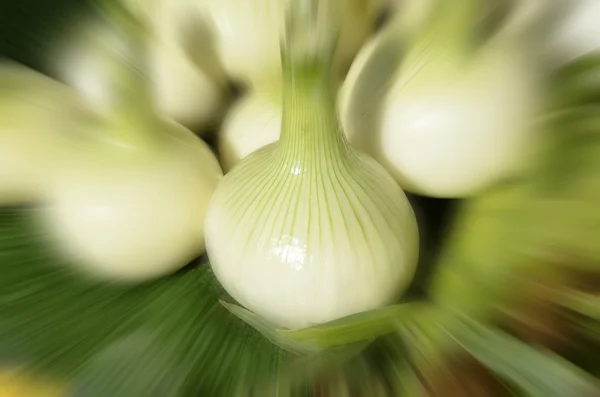 Produce para la venta — Foto de Stock