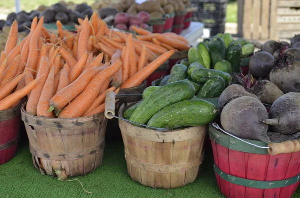 Zanahorias, pepinos y remolachas —  Fotos de Stock