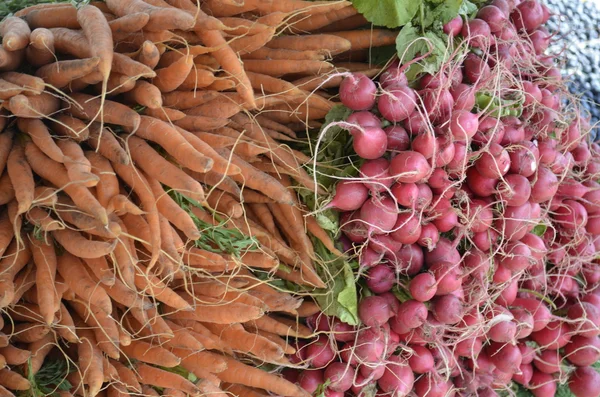 Rábanos y zanahorias —  Fotos de Stock