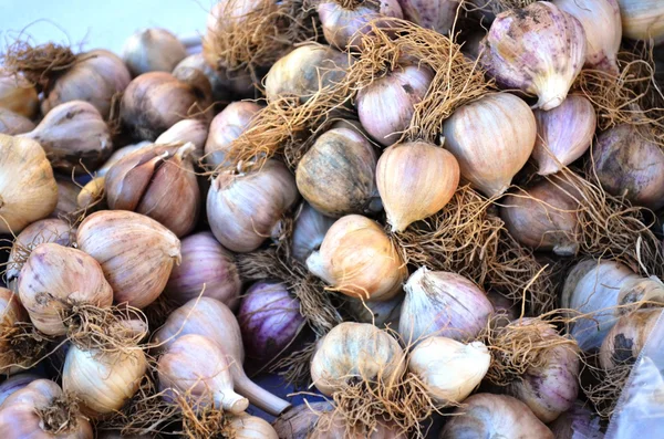 Spicchi d'aglio freschi — Foto Stock