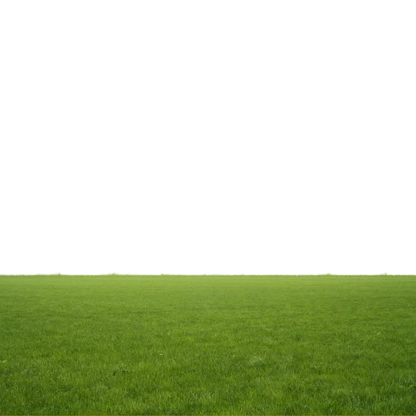Beyaz arka plan üzerinde izole bahar yeşil çimen