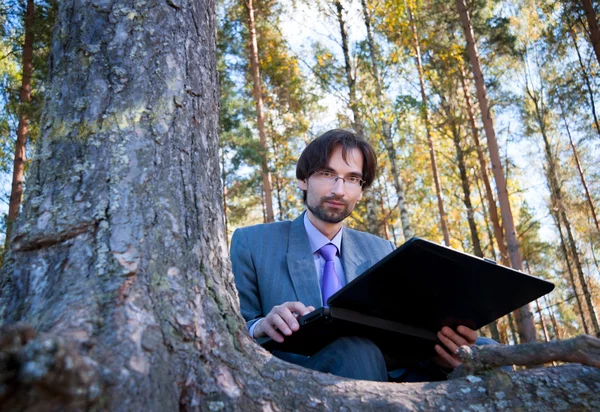 Homem de negócios usando laptop — Fotografia de Stock