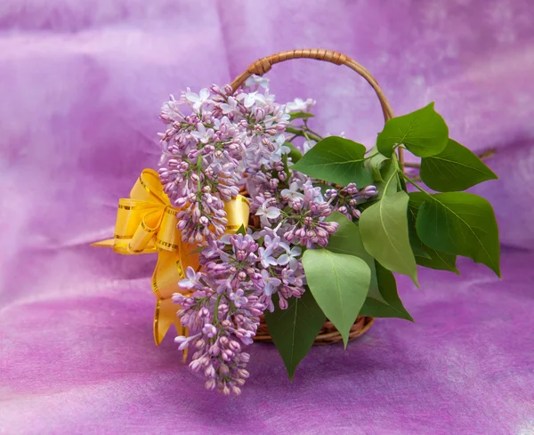 Lilacs em uma cesta — Fotografia de Stock