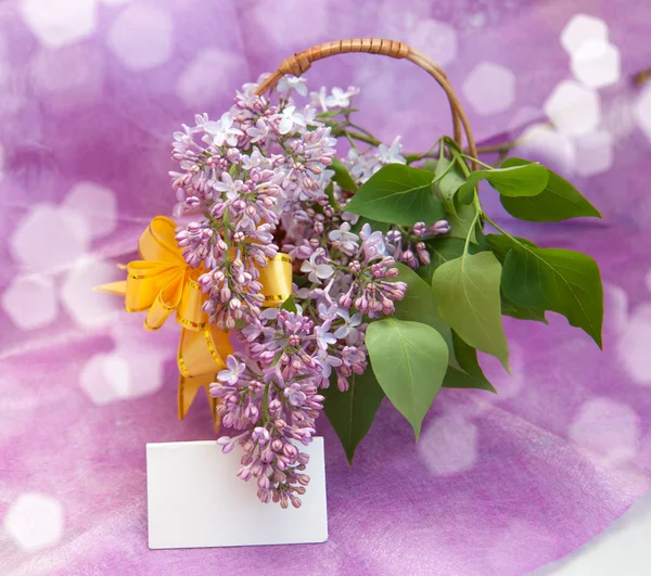 Lilacs em uma cesta — Fotografia de Stock