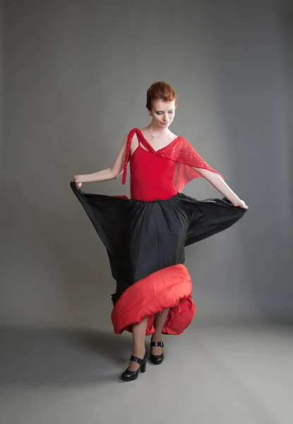 Flamenco — Fotografia de Stock