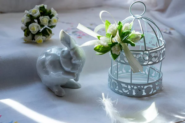 Tavşan, hücre, bıldırcın yumurtası, kuş tüyü.