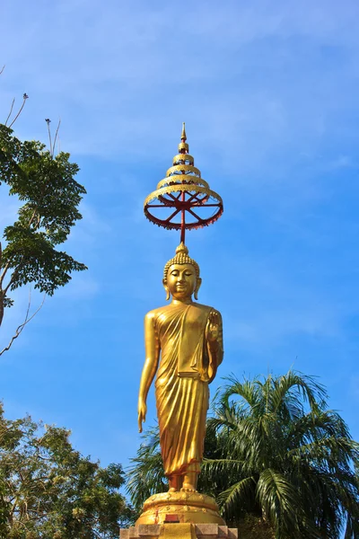 Estátua de Buda no Templo de Wat Rhai Pa, Trat, Tailândia — Fotografia de Stock