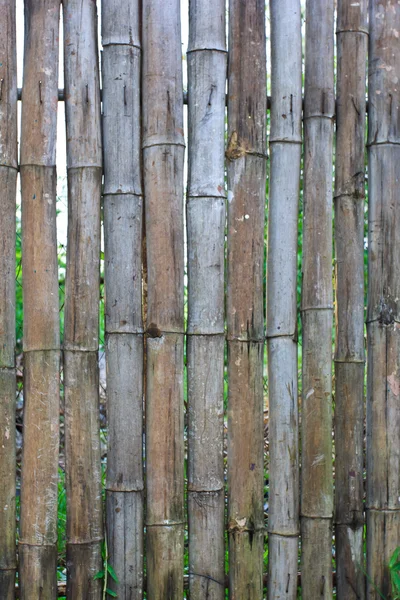 Bambu duvar dokusu — Stok fotoğraf