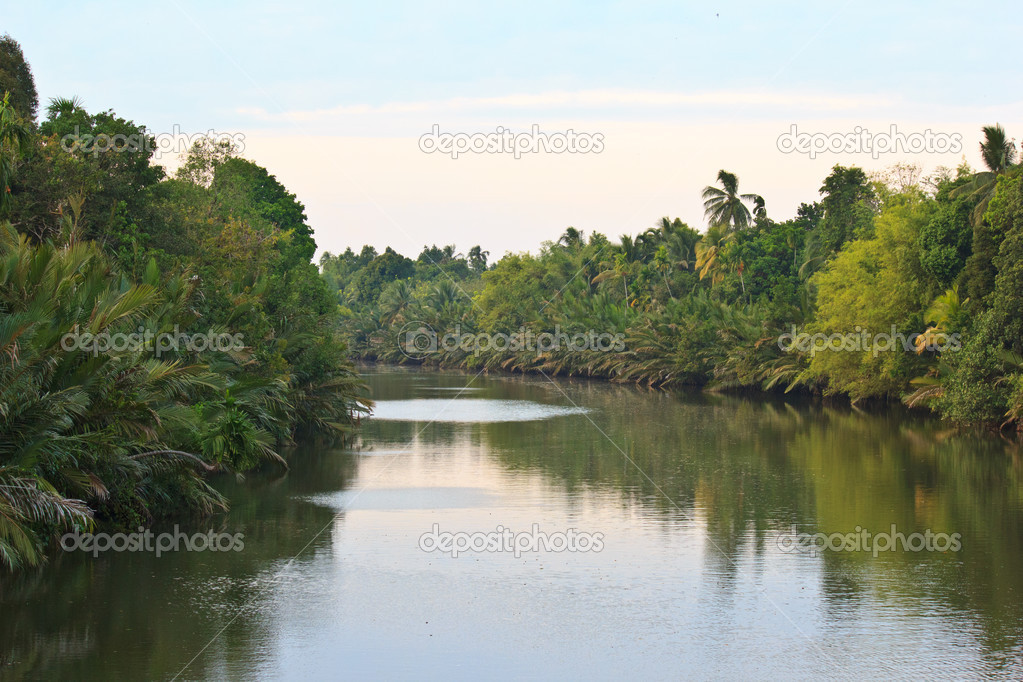 river in the jungle4