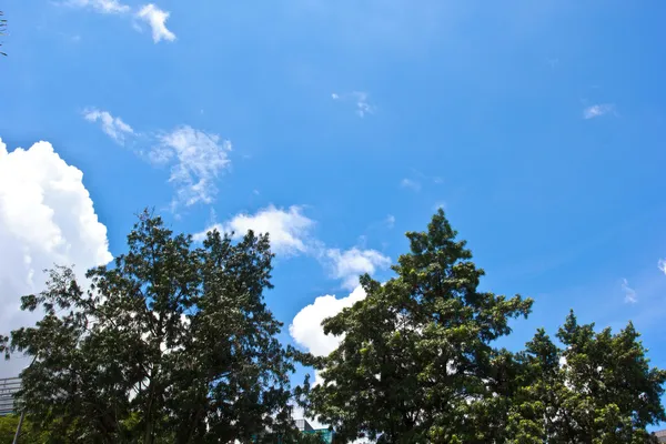 Blauwe hemel view2 — Stockfoto