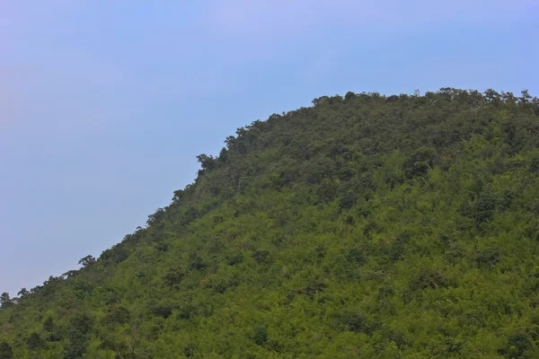 Деревянная гора — стоковое фото