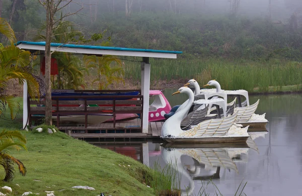 Duck boat — Stock Photo, Image