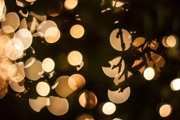 Turuncu bokeh 3