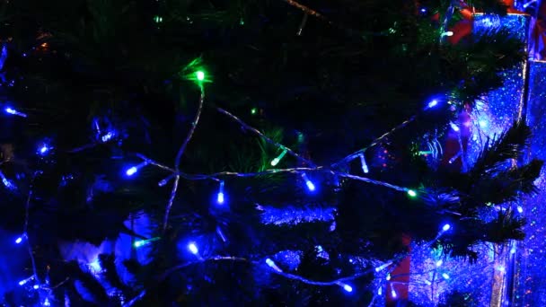 Рождественская елка с зеленым и синим светом движется — стоковое видео