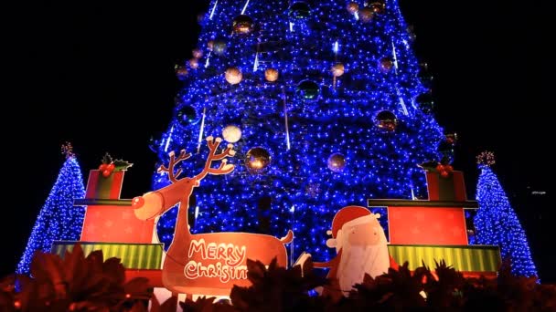 Árvore de Natal com luz em movimento — Vídeo de Stock