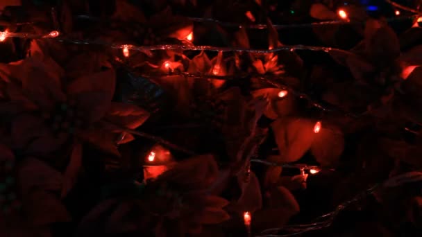 A vörös fény mozgó karácsonyfa — Stock videók