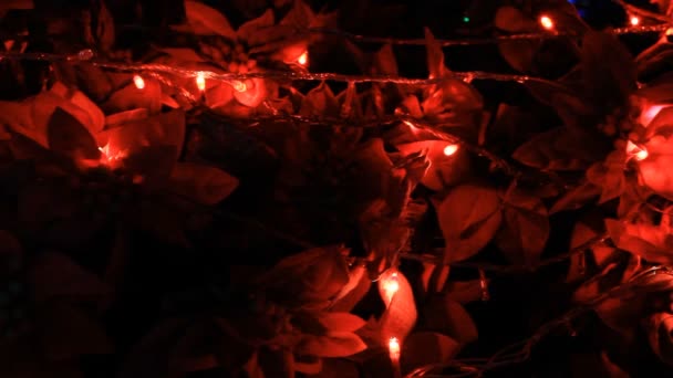 Julgran med rött ljus flytta — Stockvideo
