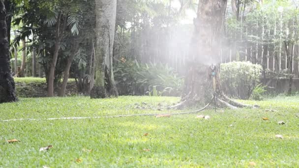 Aspersor rociando agua en el patio trasero hierba verde — Vídeos de Stock