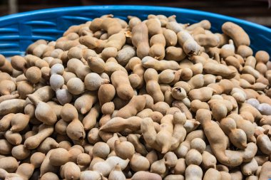 Demirhindi arka plan 2