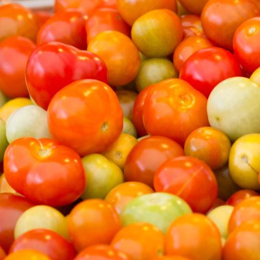 papaya salatası (somtam) 2 için küçük domates arka plan