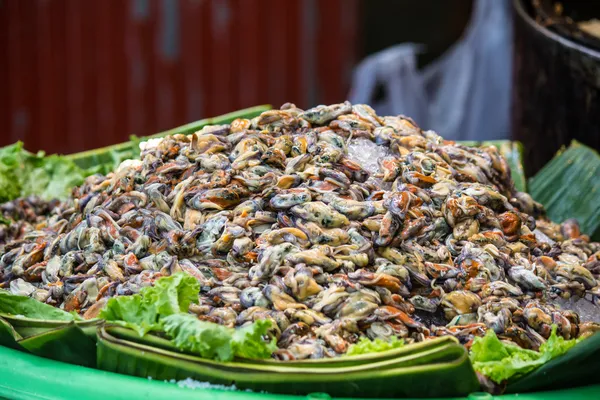 Fresh mussel — Stock Photo, Image