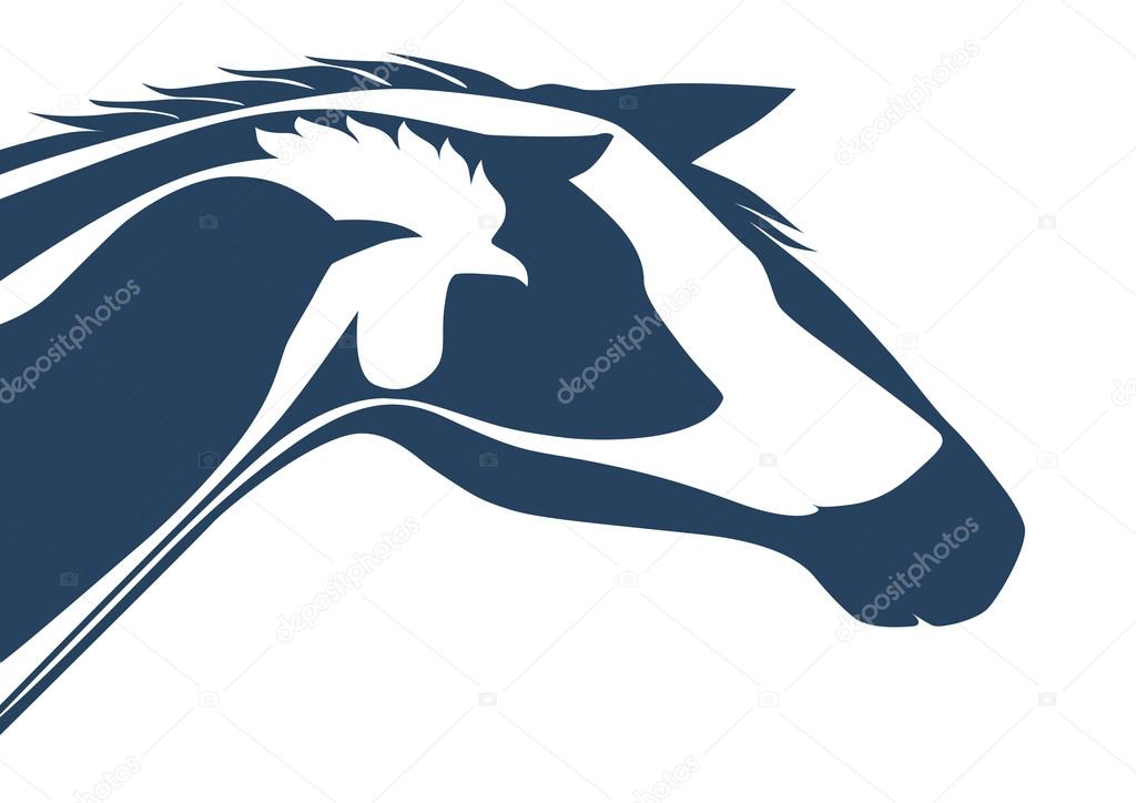 Veterinary and animals