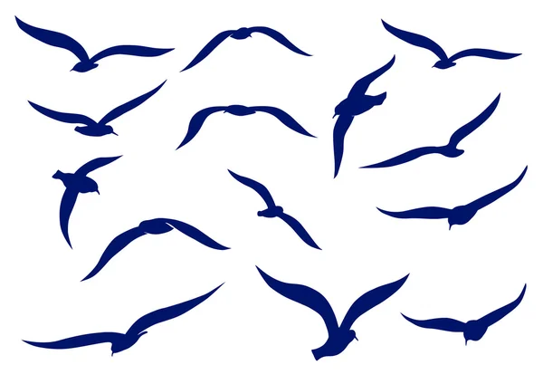 Seagull silhuetter — Stock vektor