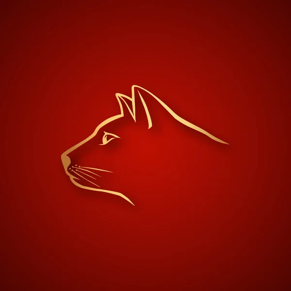 Stok fotoğraf sitesinde topcu portföyü Telifsiz resimler, videolar