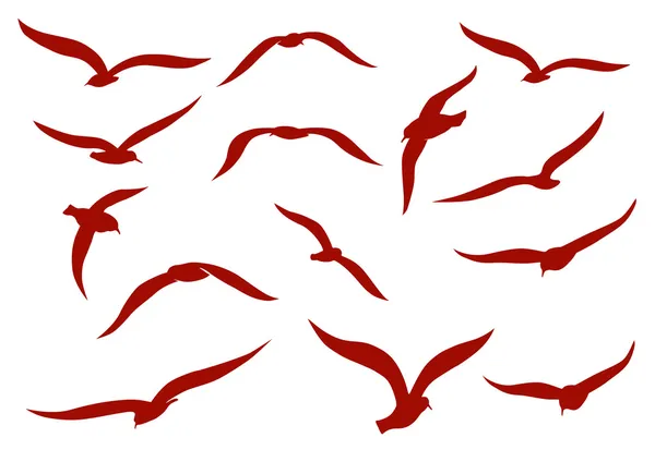 Gaviotas — Vector de stock