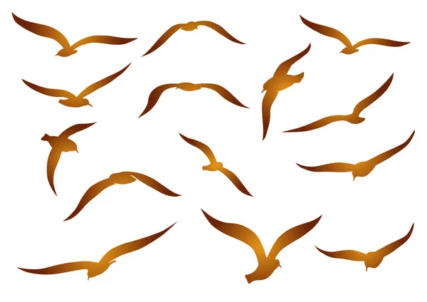 Mouettes et mouettes — Image vectorielle