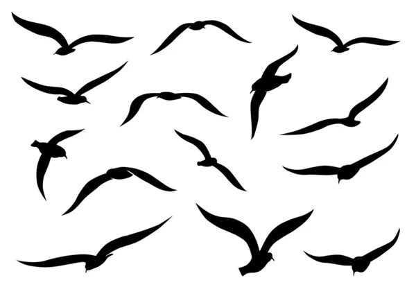 Gaviotas — Vector de stock