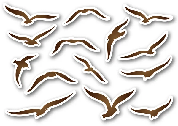 Mouettes et mouettes — Image vectorielle