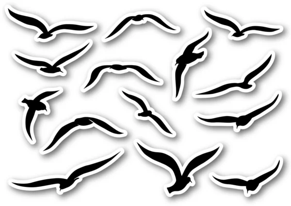 Mouettes et mouettes — Image vectorielle