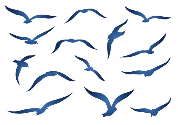 Mouettes et mouettes — Image vectorielle