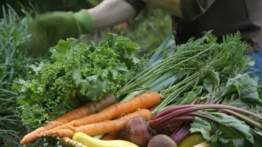 bir kadının onu bahçede dikim yakın çekim