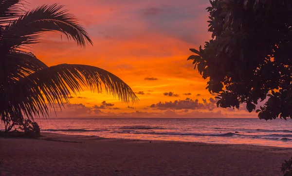 Sonnenaufgang am Sandstrand — Stockfoto