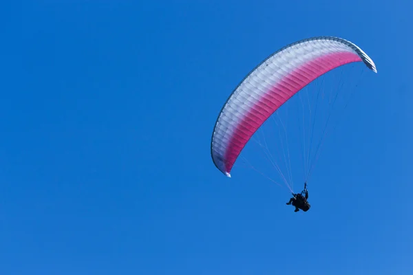 Tandem paraşütler — Stok fotoğraf