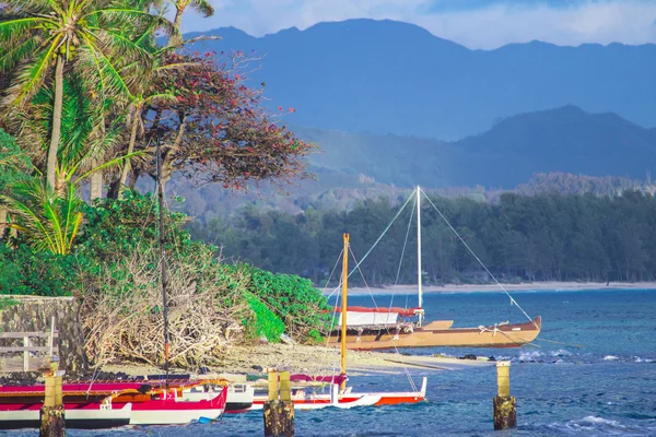 Barcos en la orilla — Foto de Stock