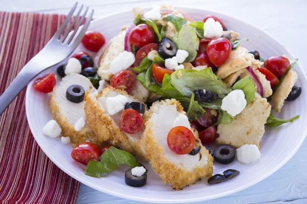 Middle Eastern Bread Salad with Chicken — Stock Photo, Image