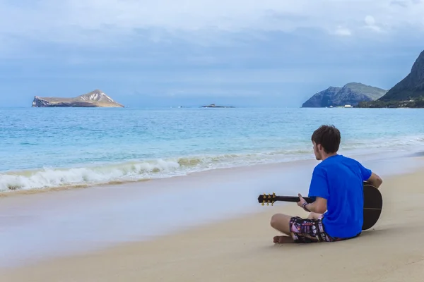 Serenata sulla spiaggia — Foto Stock