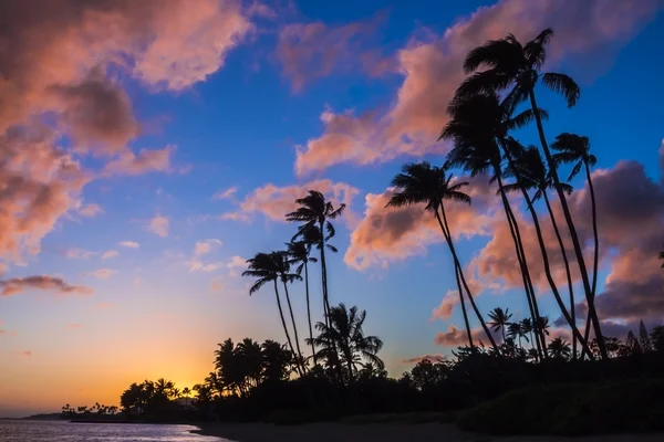 Pôr do sol Kawakui 3 — Fotografia de Stock