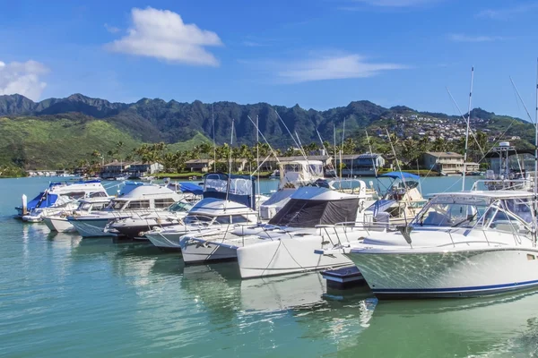 Koko marina ve koolau Dağları — Stok fotoğraf